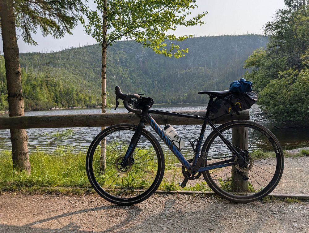 Věrný druh na Plešném jezeře