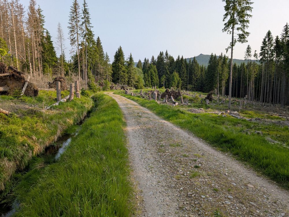 Pořád podél kanálu