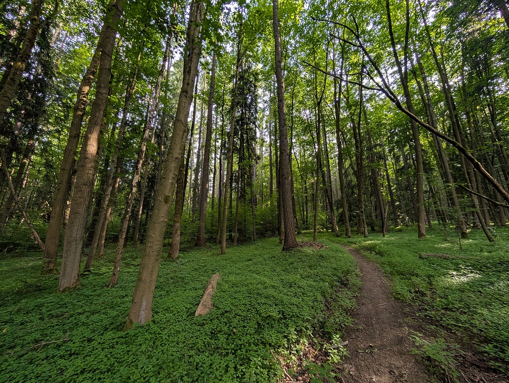 Na kole po neznámých místech