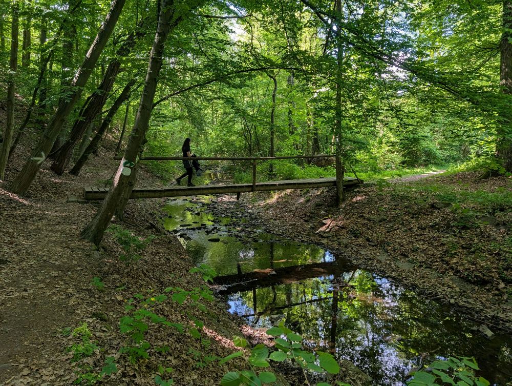 Cestou do Chlístovic