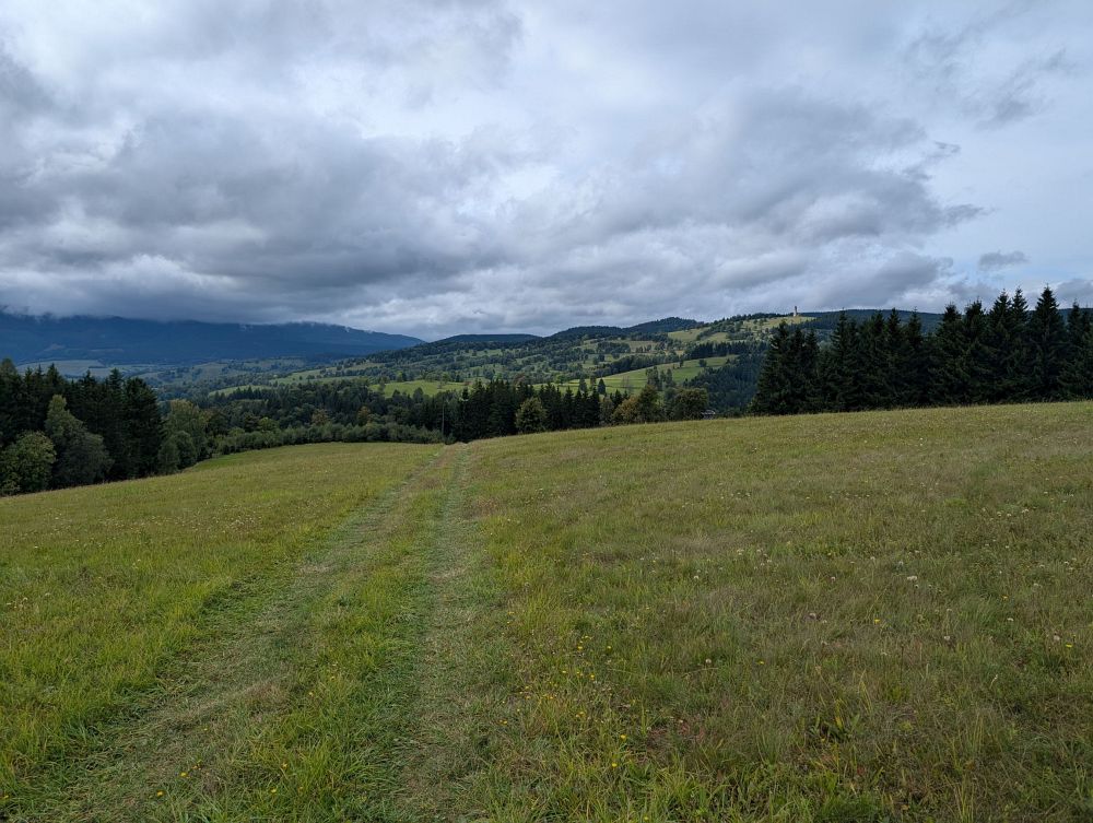 Louky nad Kronfelzovem