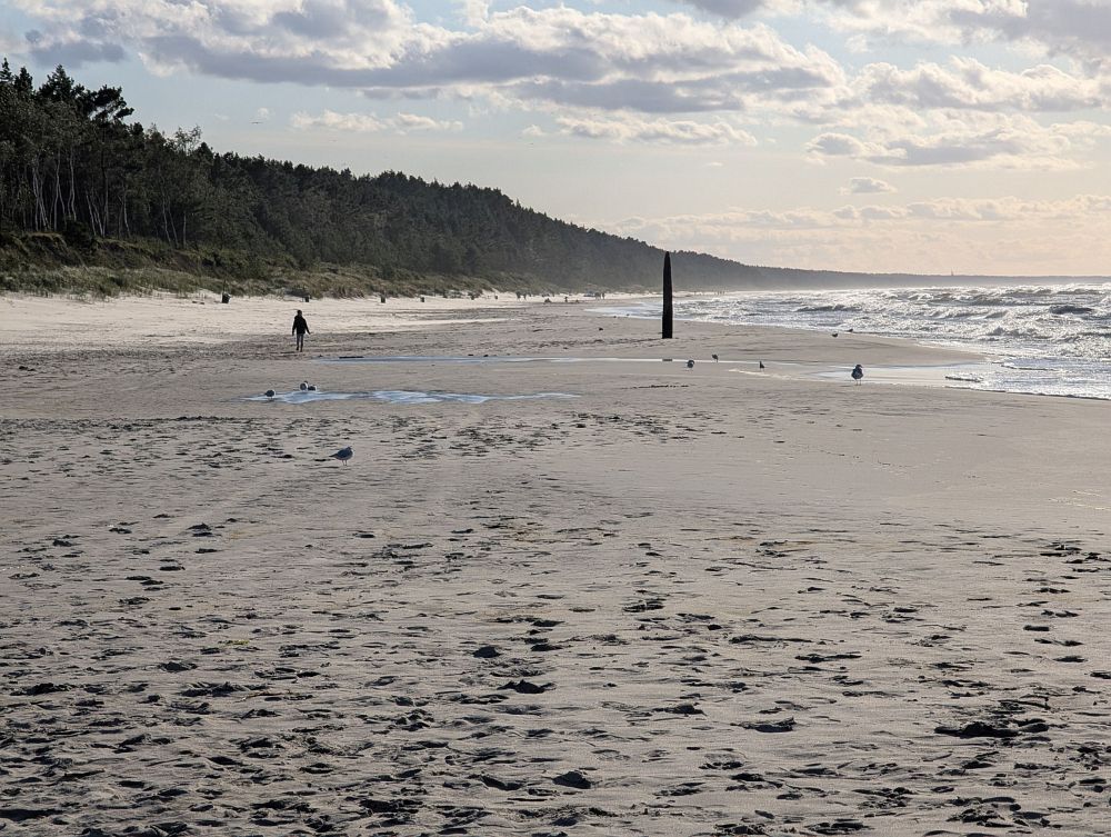 Liduprázdné pláže se táhnout do nekonečna