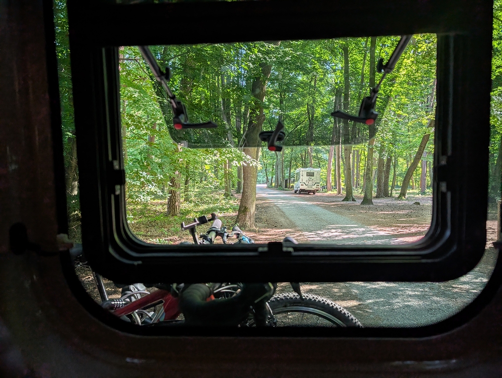 Ráno v lese za Krakowem