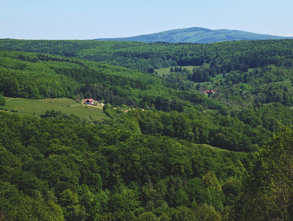 Samoty