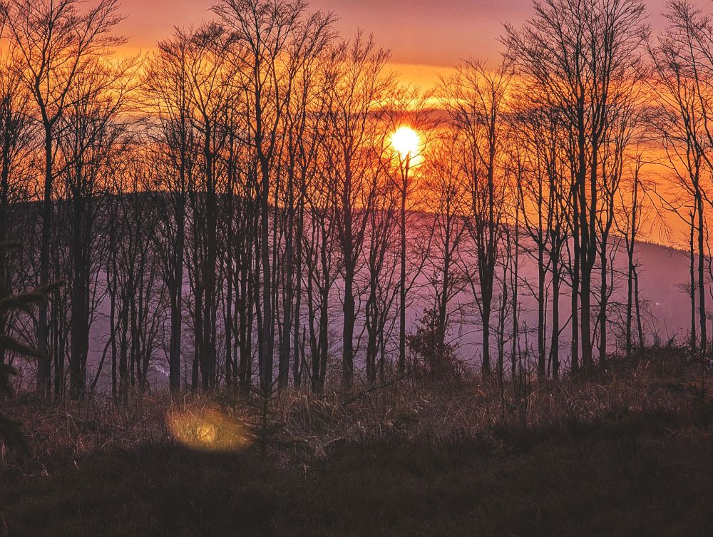 Západ za Javorovým