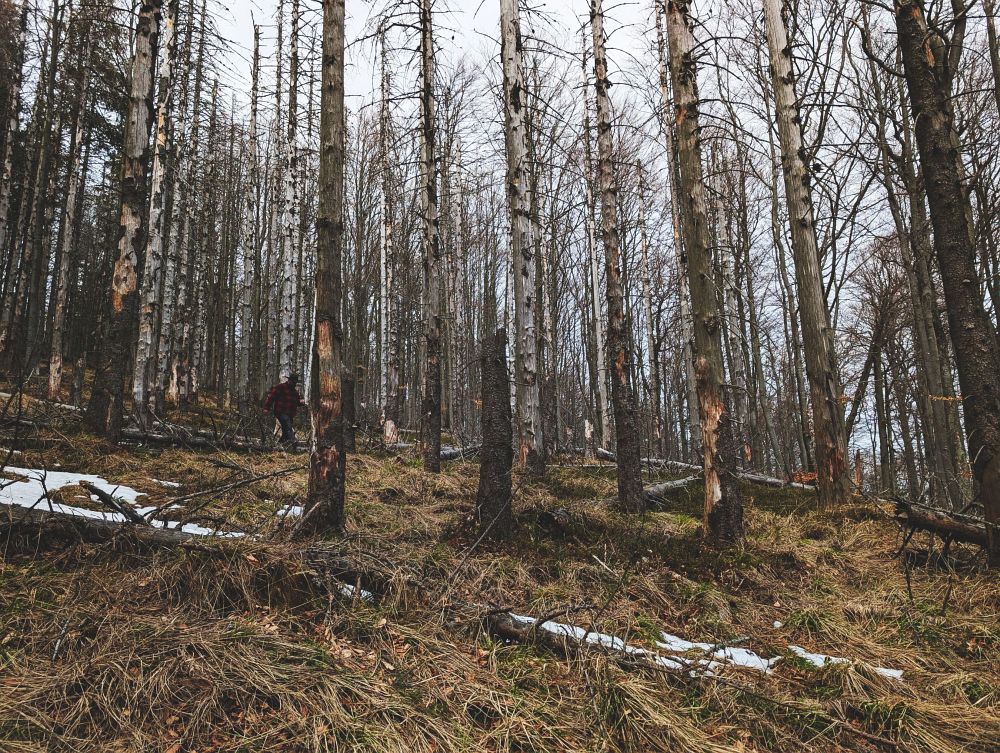 S Michalem v Čerňavině