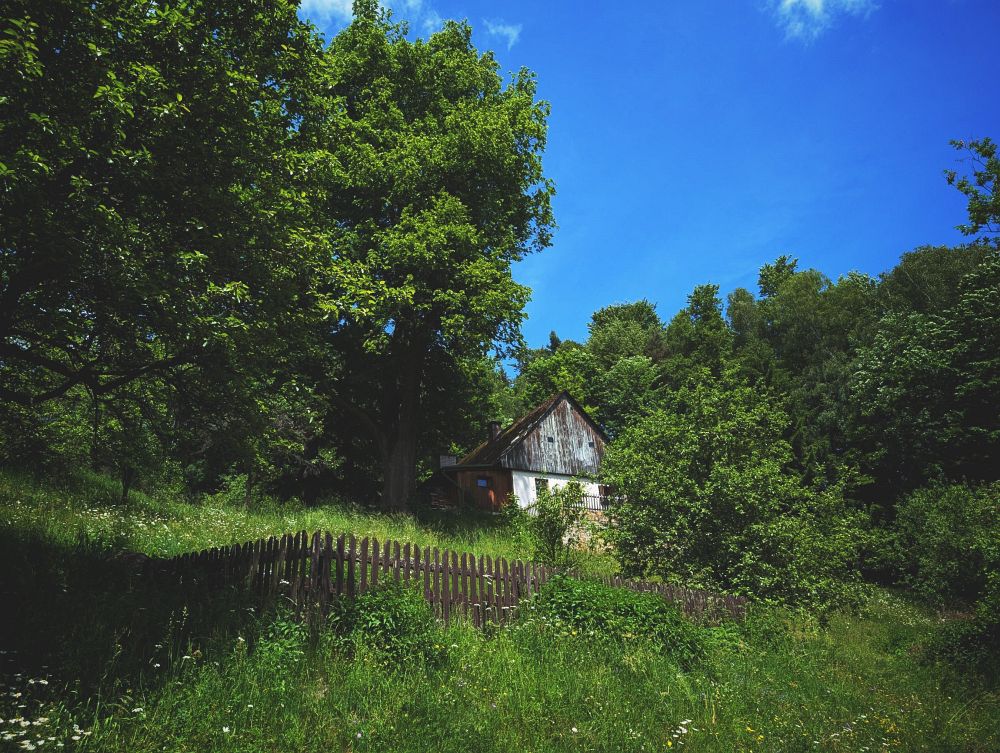 Krása