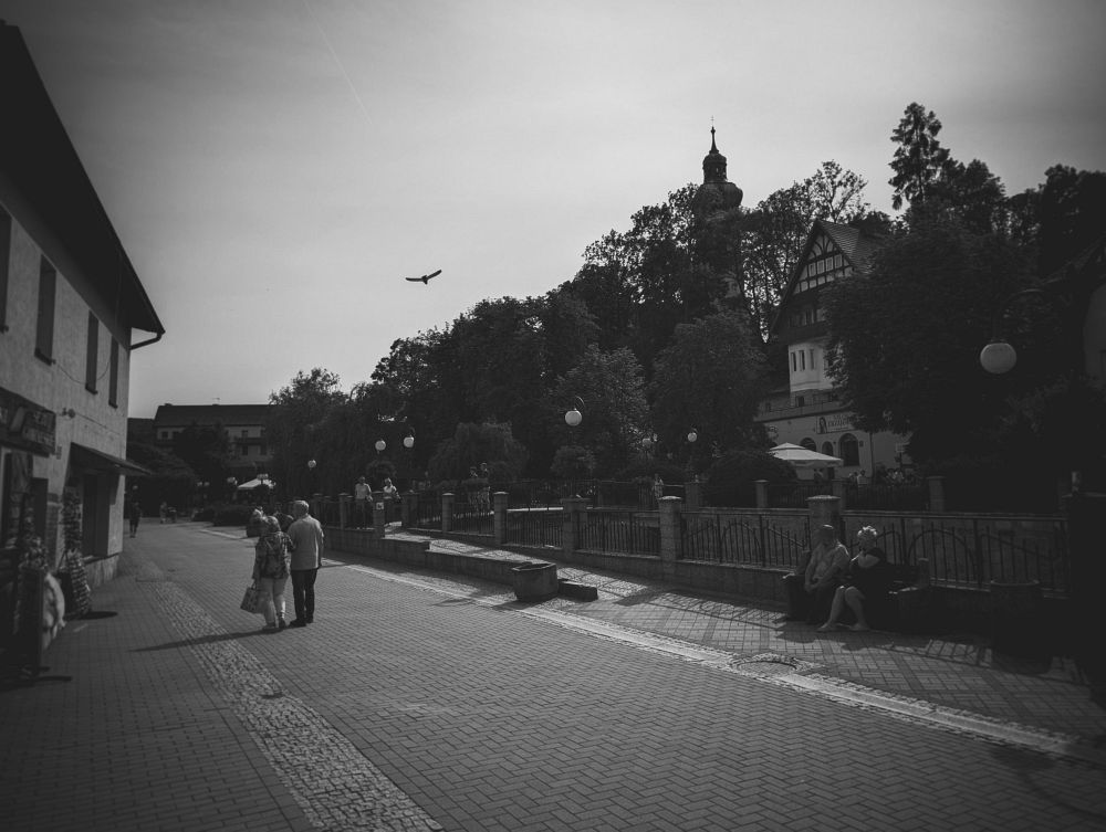Polnica Zdroj