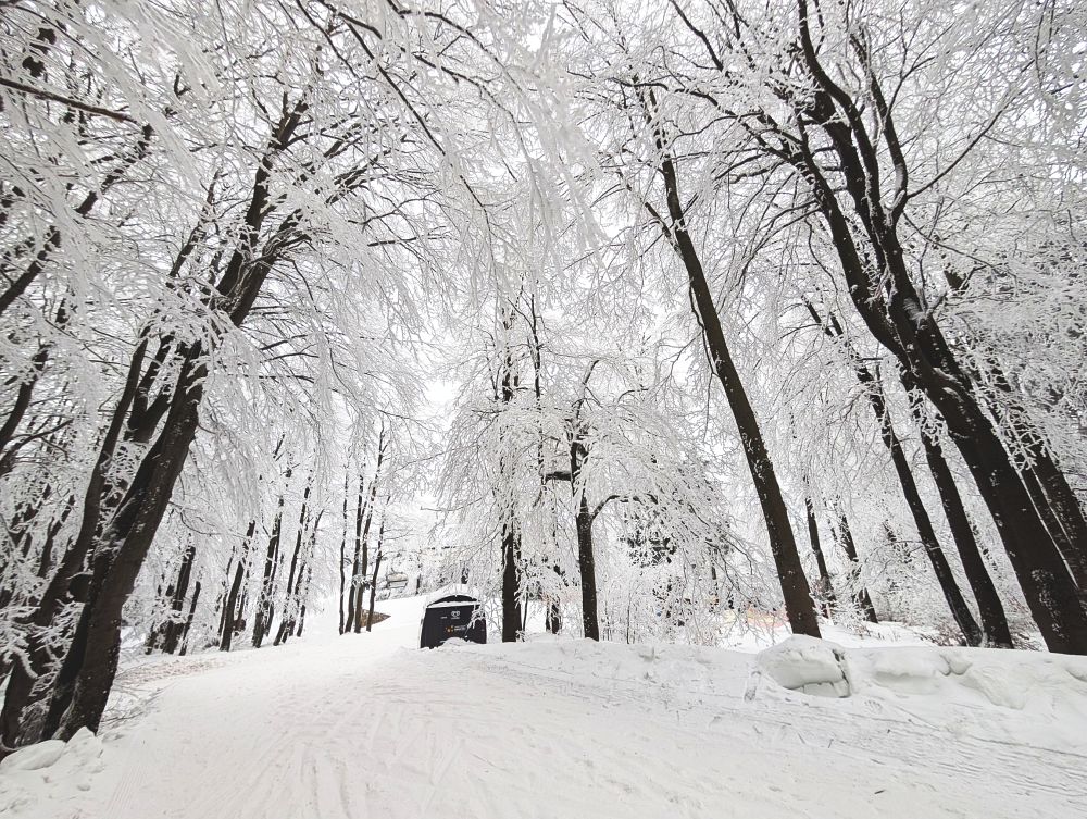 Troška zimní nálady