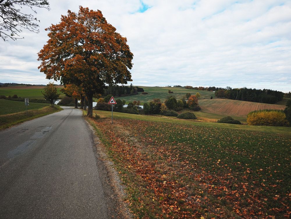 Vzadu nahoře autobus, tam jedu
