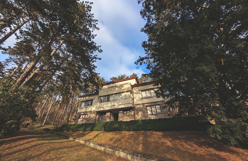 Krásná lesní vila s obrovským pozemkem