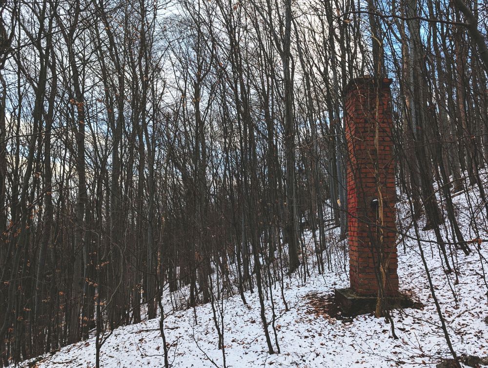 Mimo cesty v lese, něco tady stálo