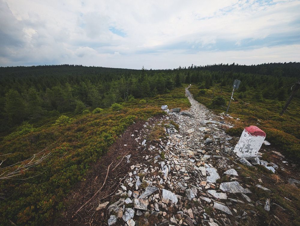 Smrk - tady se setkávají Rychleby s Jeseníky