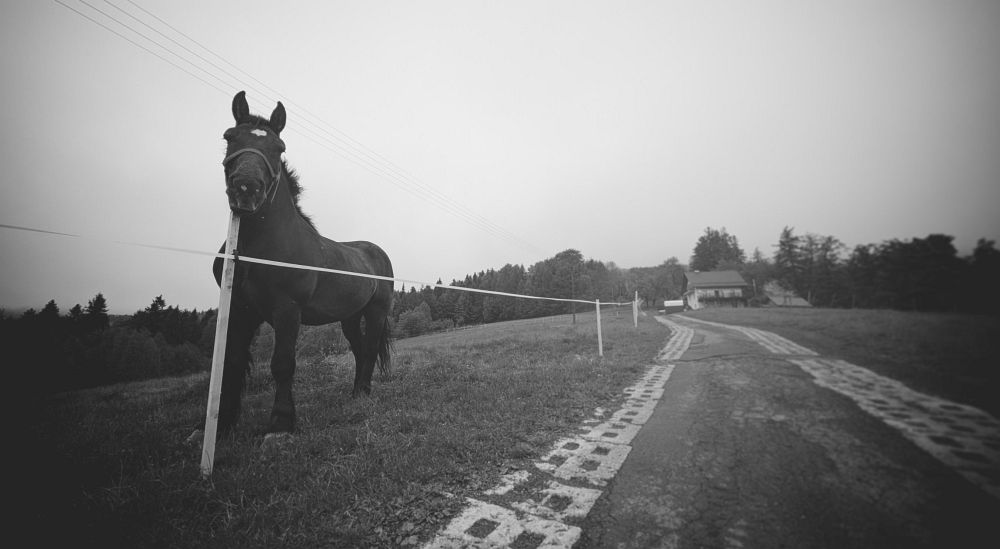 Polské Beskydy