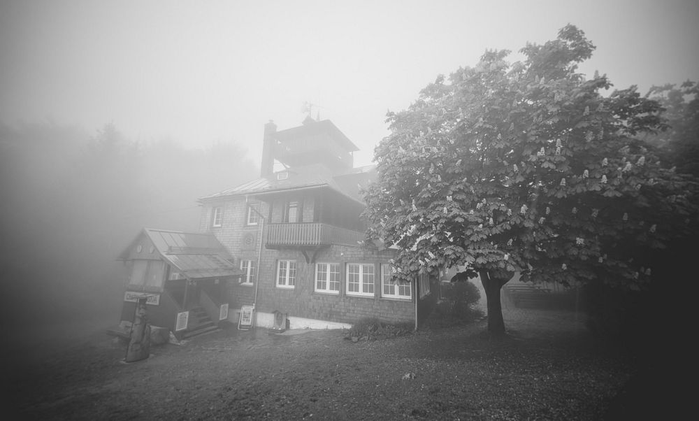 Prašivá