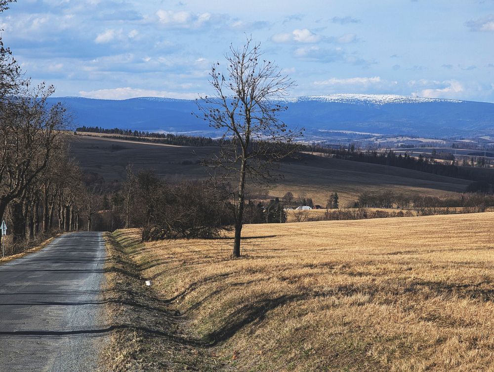 Vzadu Velký Kotel a Praděd