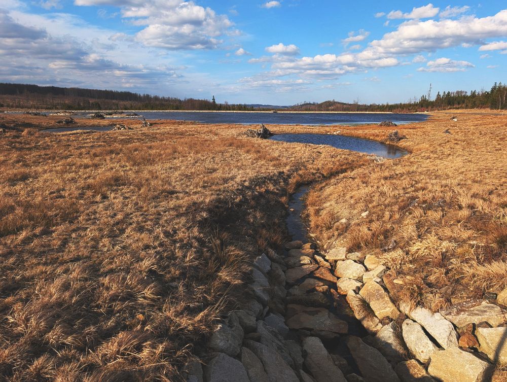 Ryžovník nad Slezskou Hartou