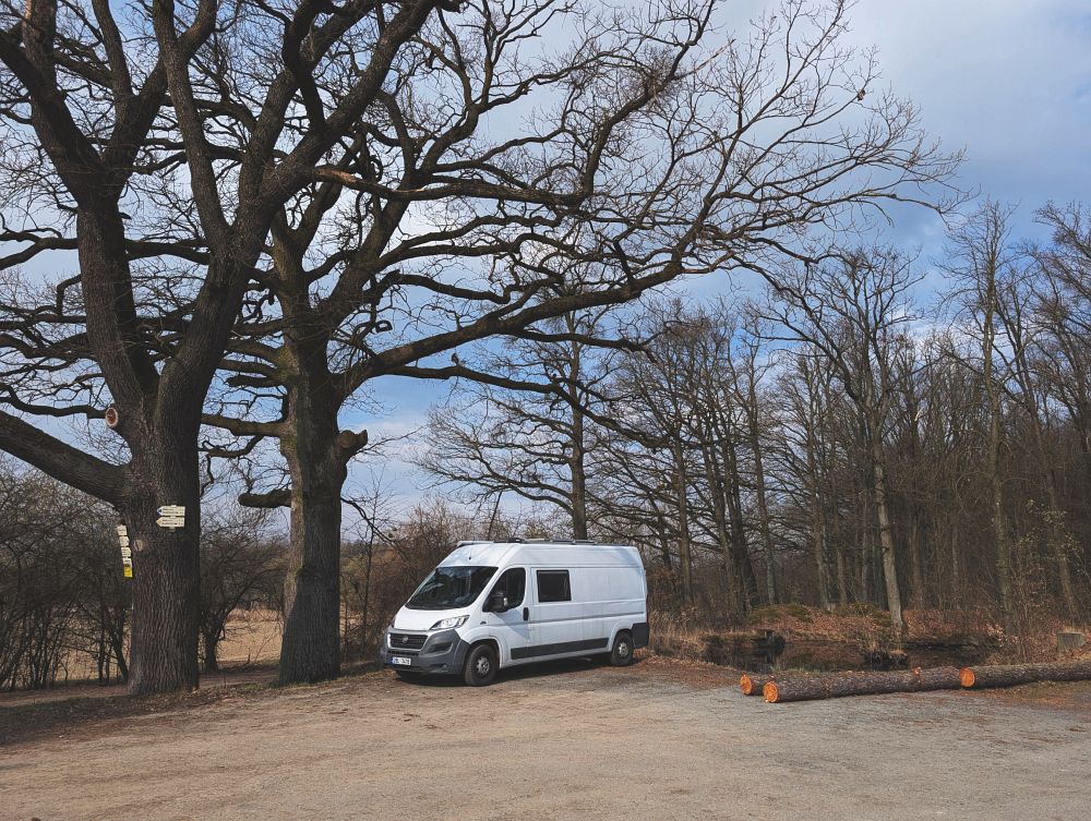 Ráno na Řídečské myslivně