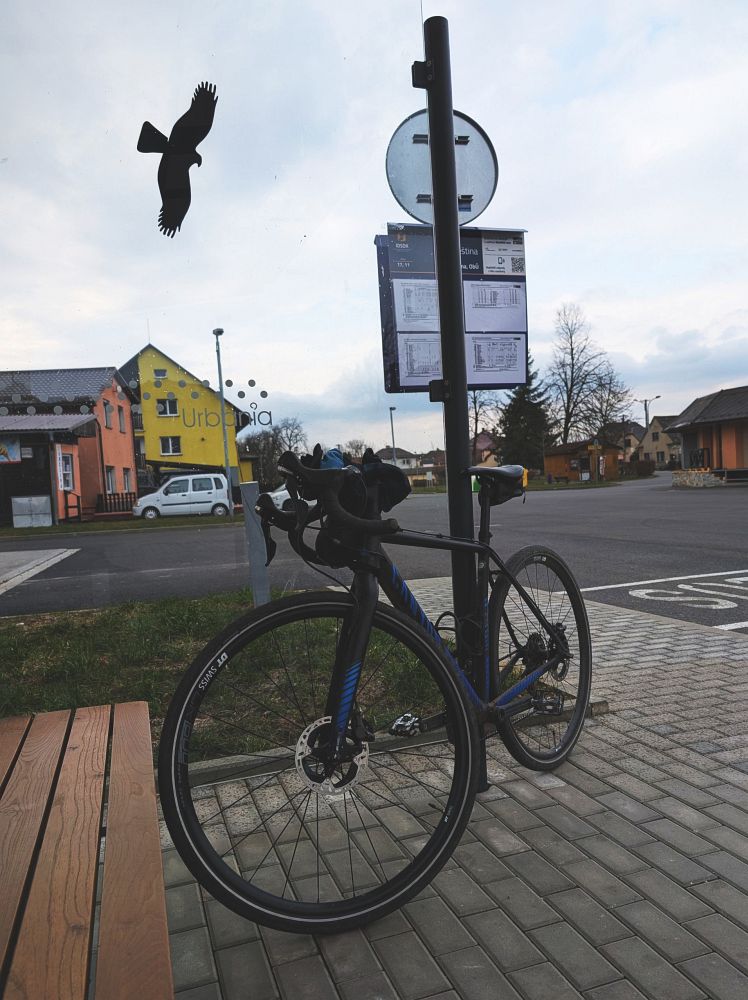 Odpočinek s ptákem