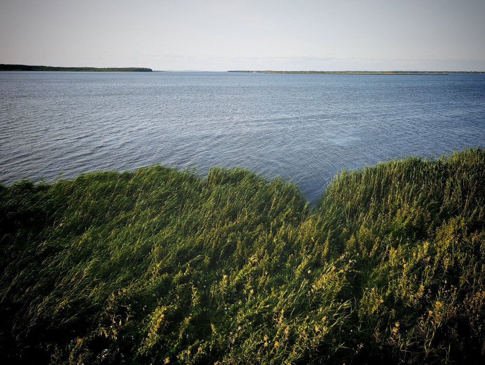 Jezero Nowowarpienskie