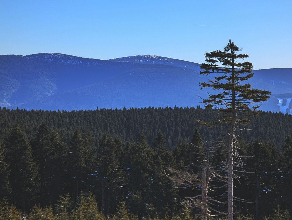 Šerák, Keprník, Vozka