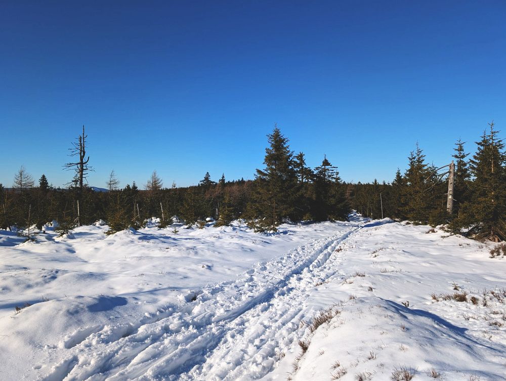 Směrem na Rychlebský hřeben, tam to mám rád