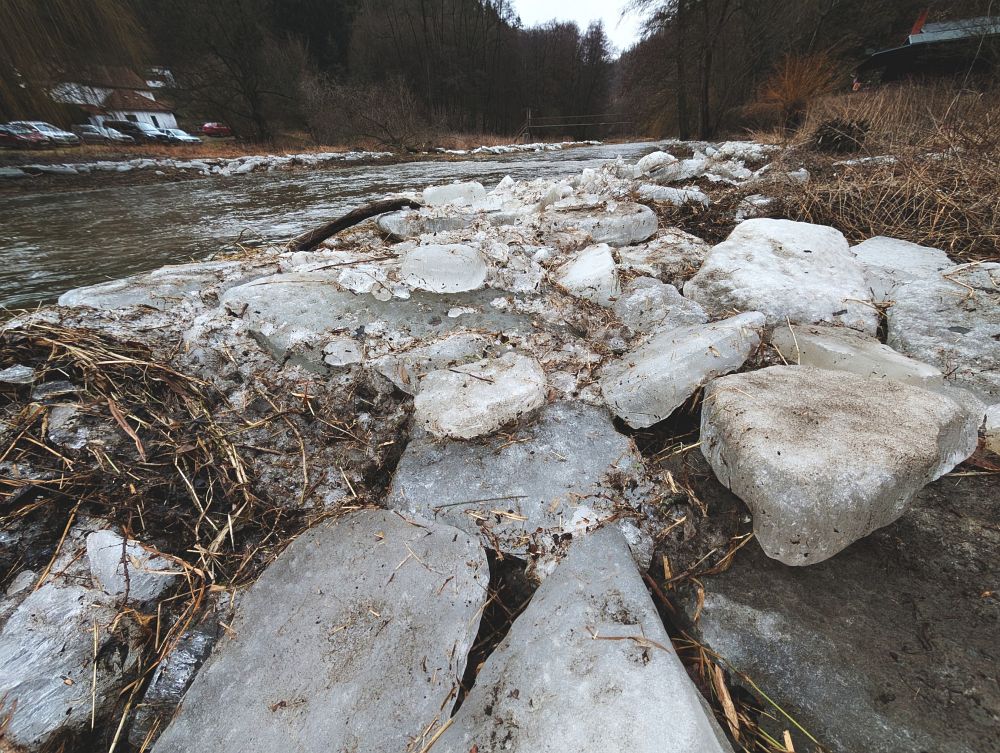 Soutok Oslavy s Chvojnicí