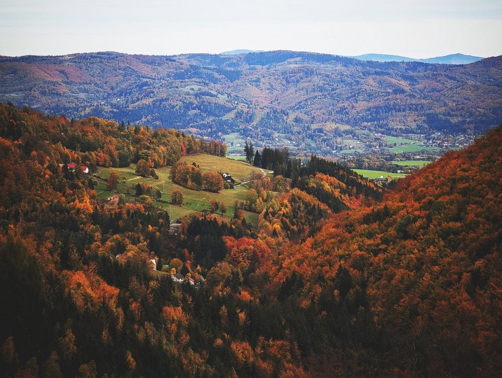 Košařiska