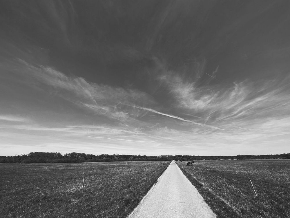 Z Lednice K Loveckému zámečku