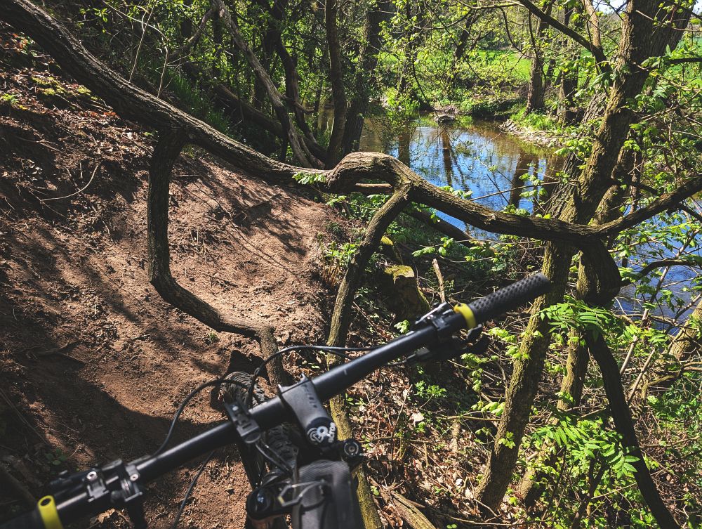 Boj v údolí Rokytné