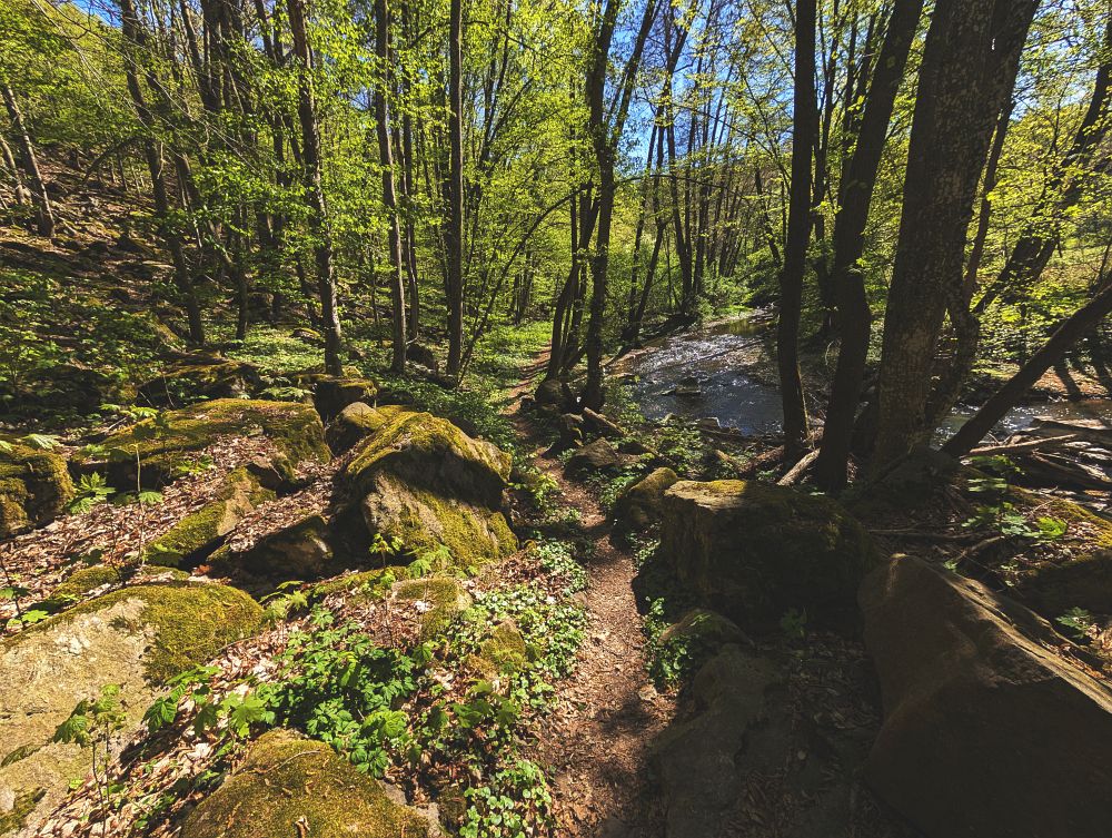 Poslední metry divočinou