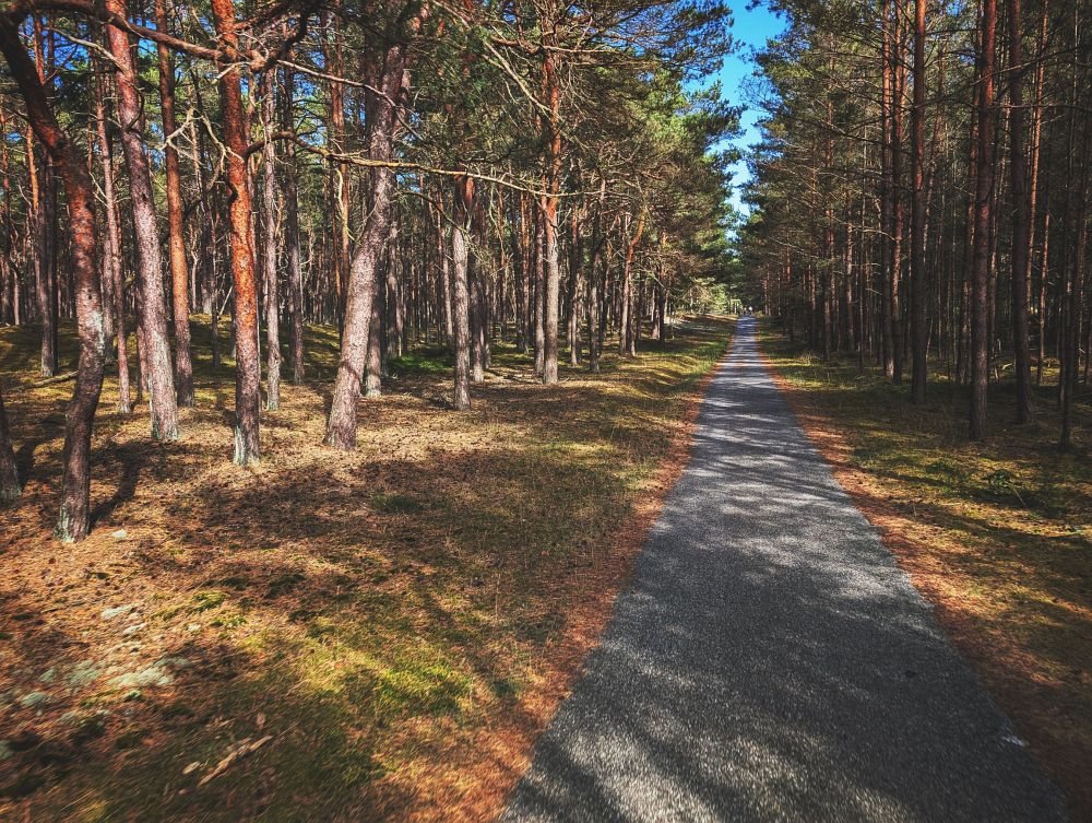 Cyklostezka kolem kempu