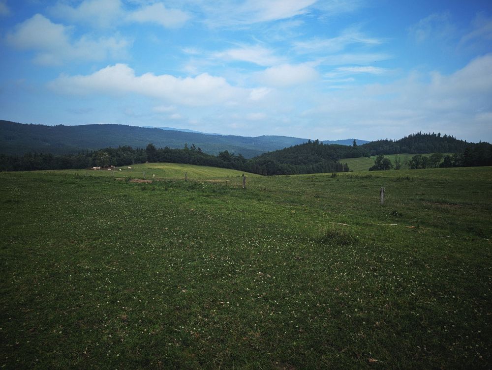 Rychleby