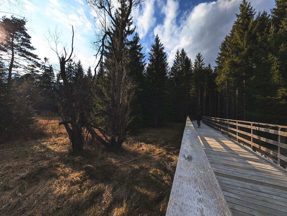 Mezi Herálcem a Svratkou