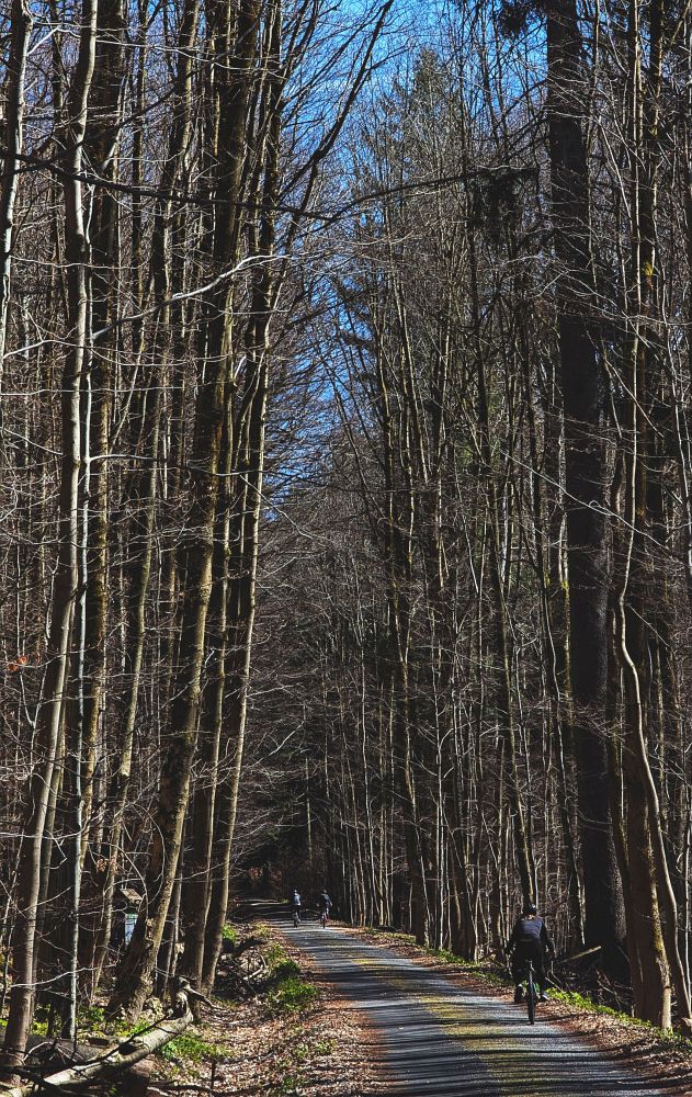 Průjezd NPR Žákova hora