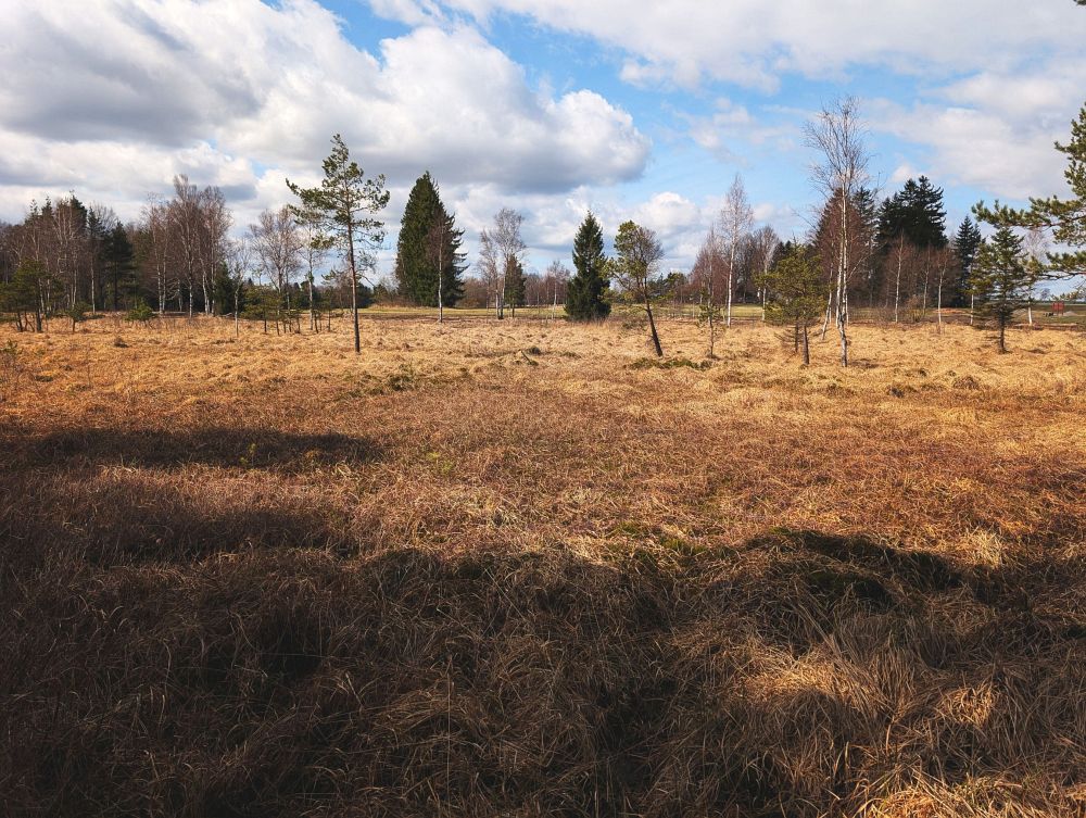 U Dářského rašeliniště