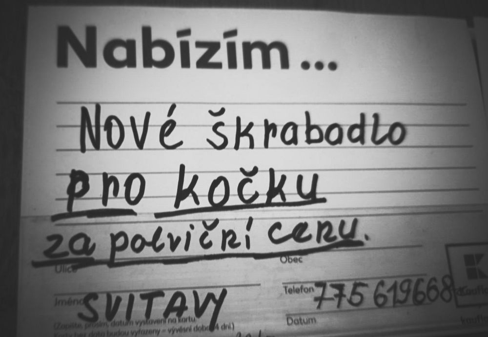 Ve Svitavách v Kauflandu