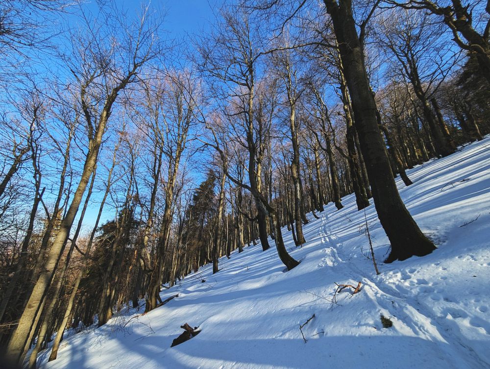 Cesta na Velkou Raču