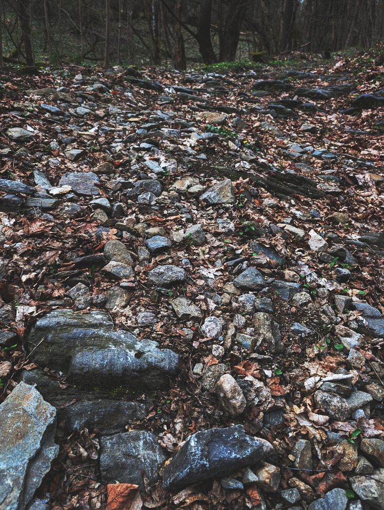 Starou cestou tlačím kolo na hřeben