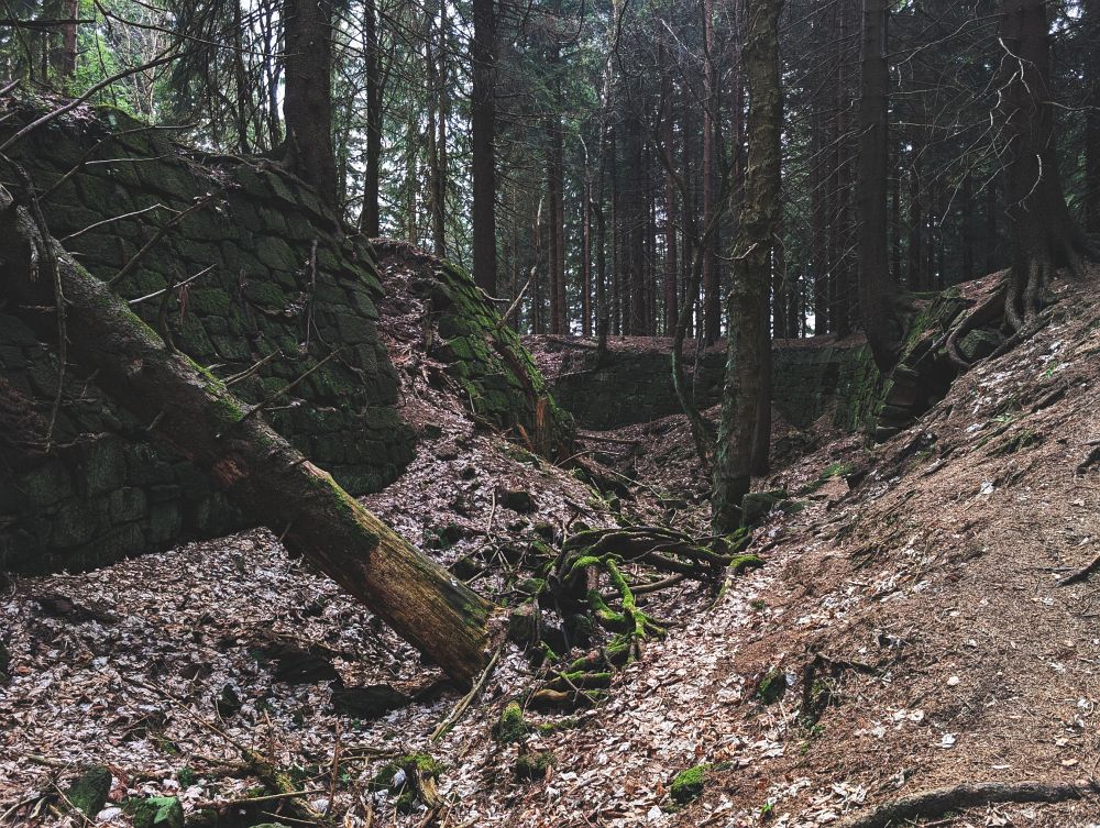 Fort William, Gory Bystrzyckie