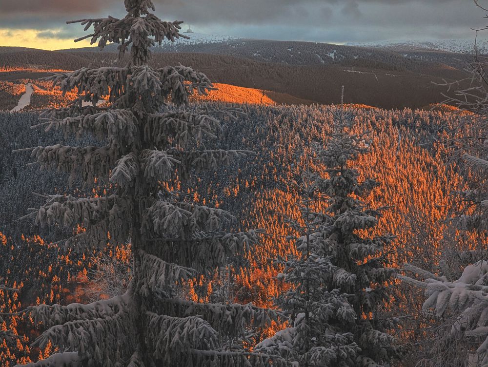 Vzadu je vidět Praděd